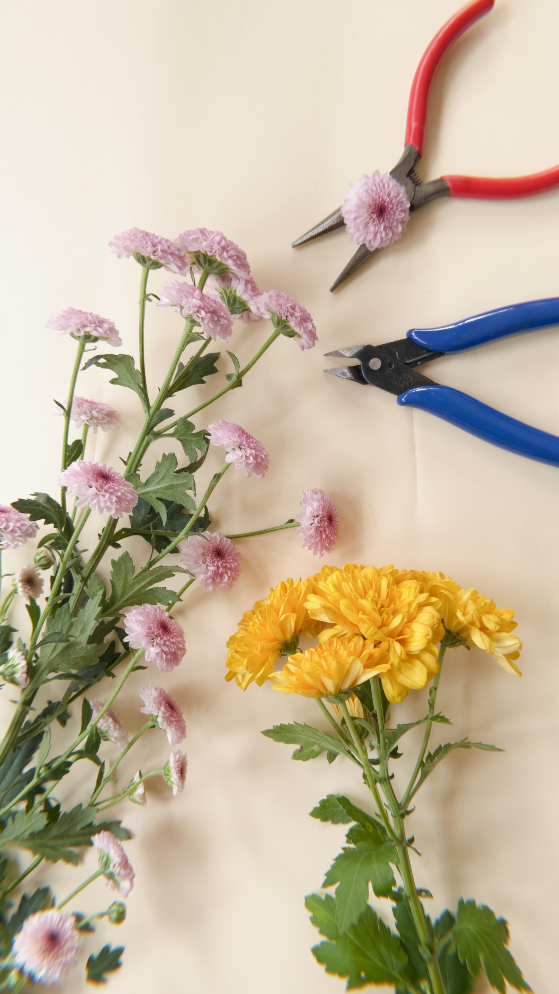 flowers