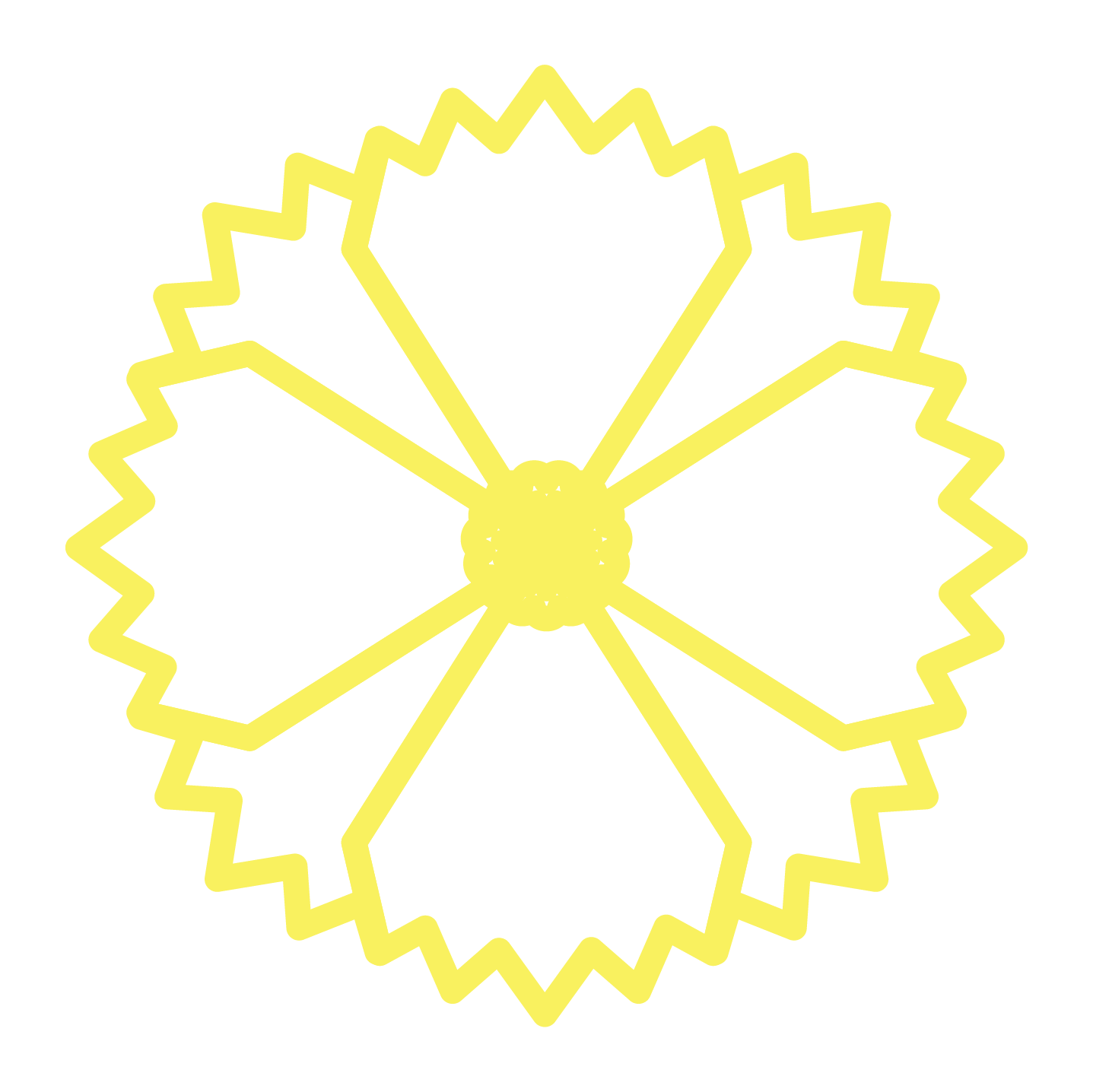 Yellow Carnation