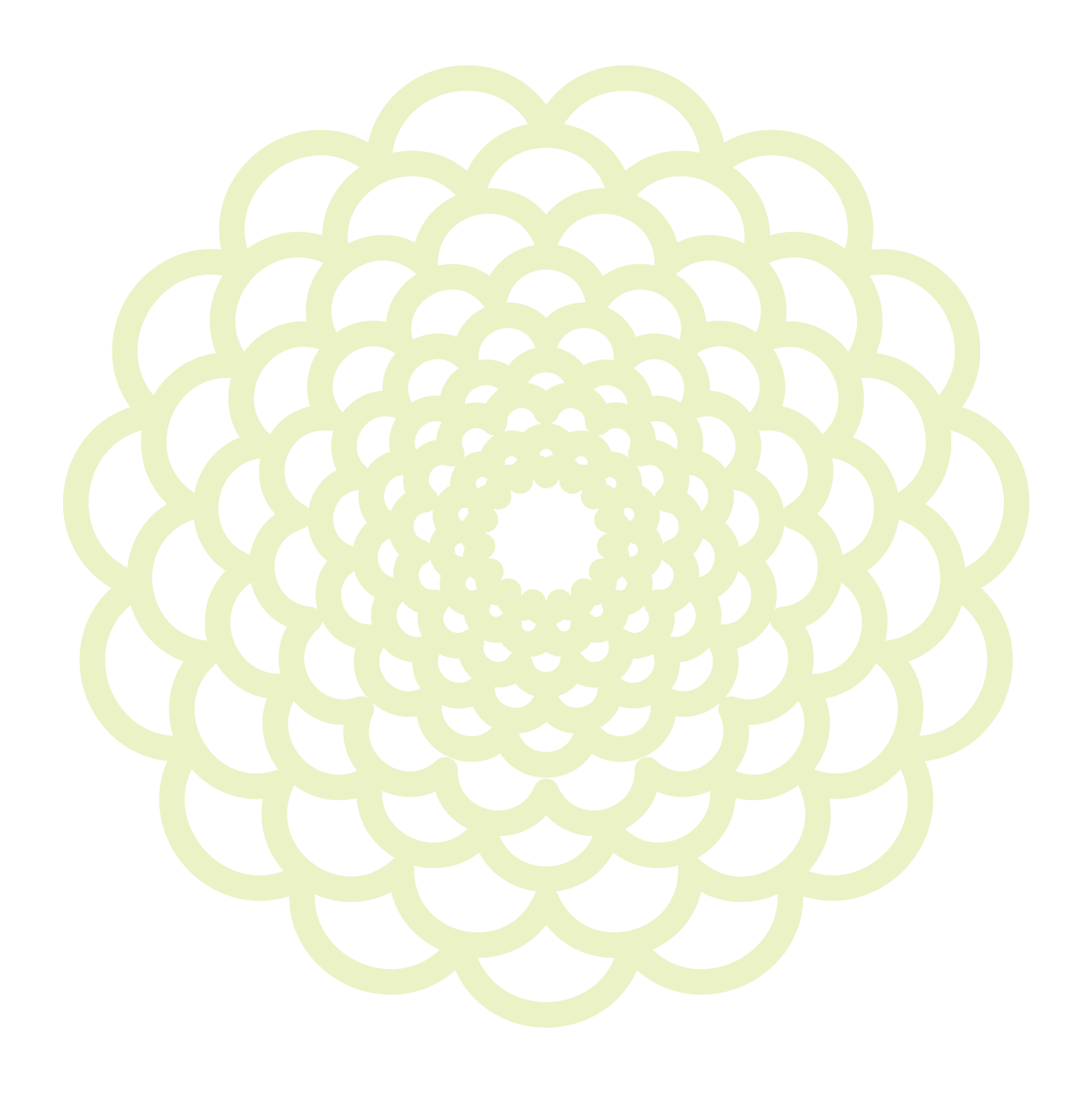 White Dahlia