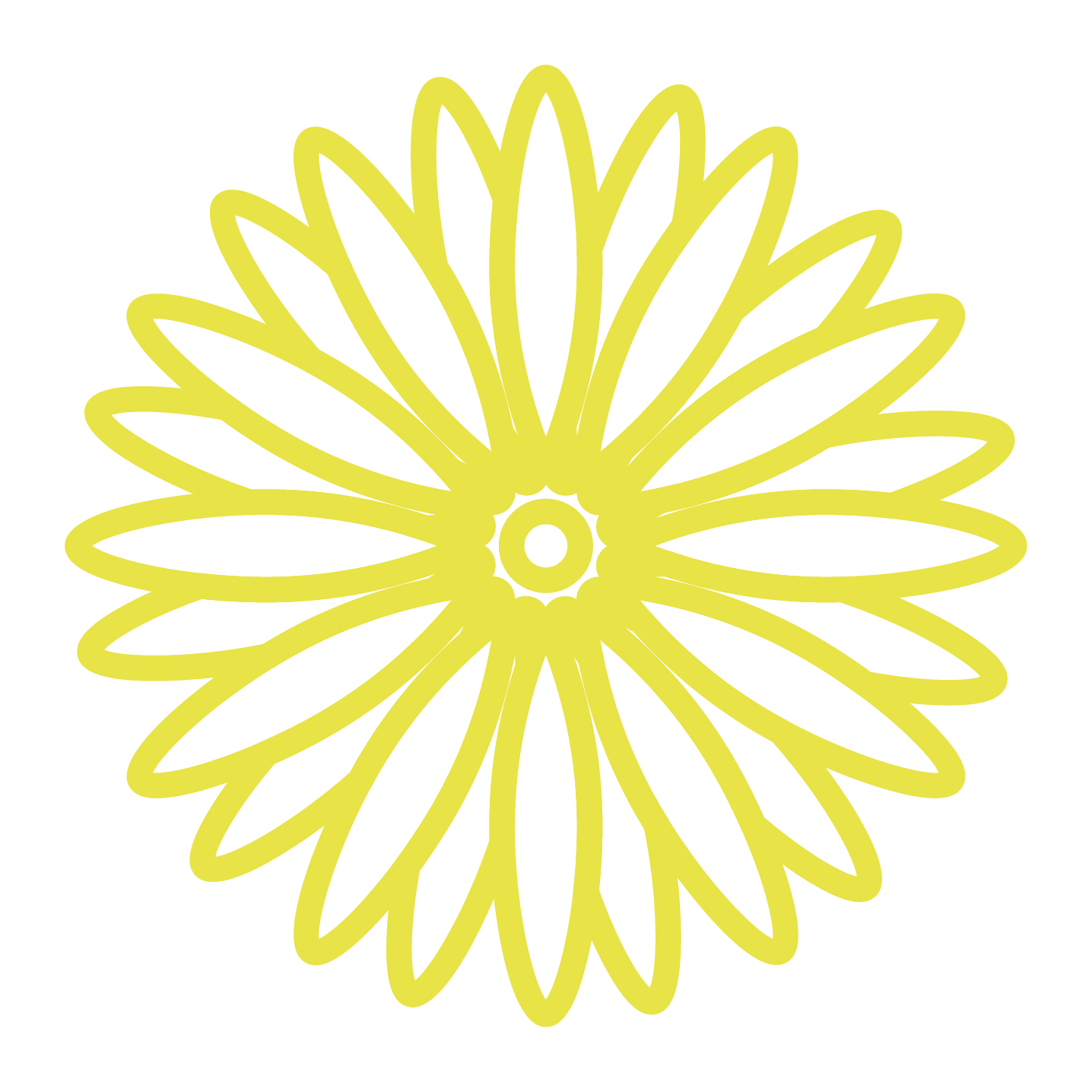 Yellow Garbera