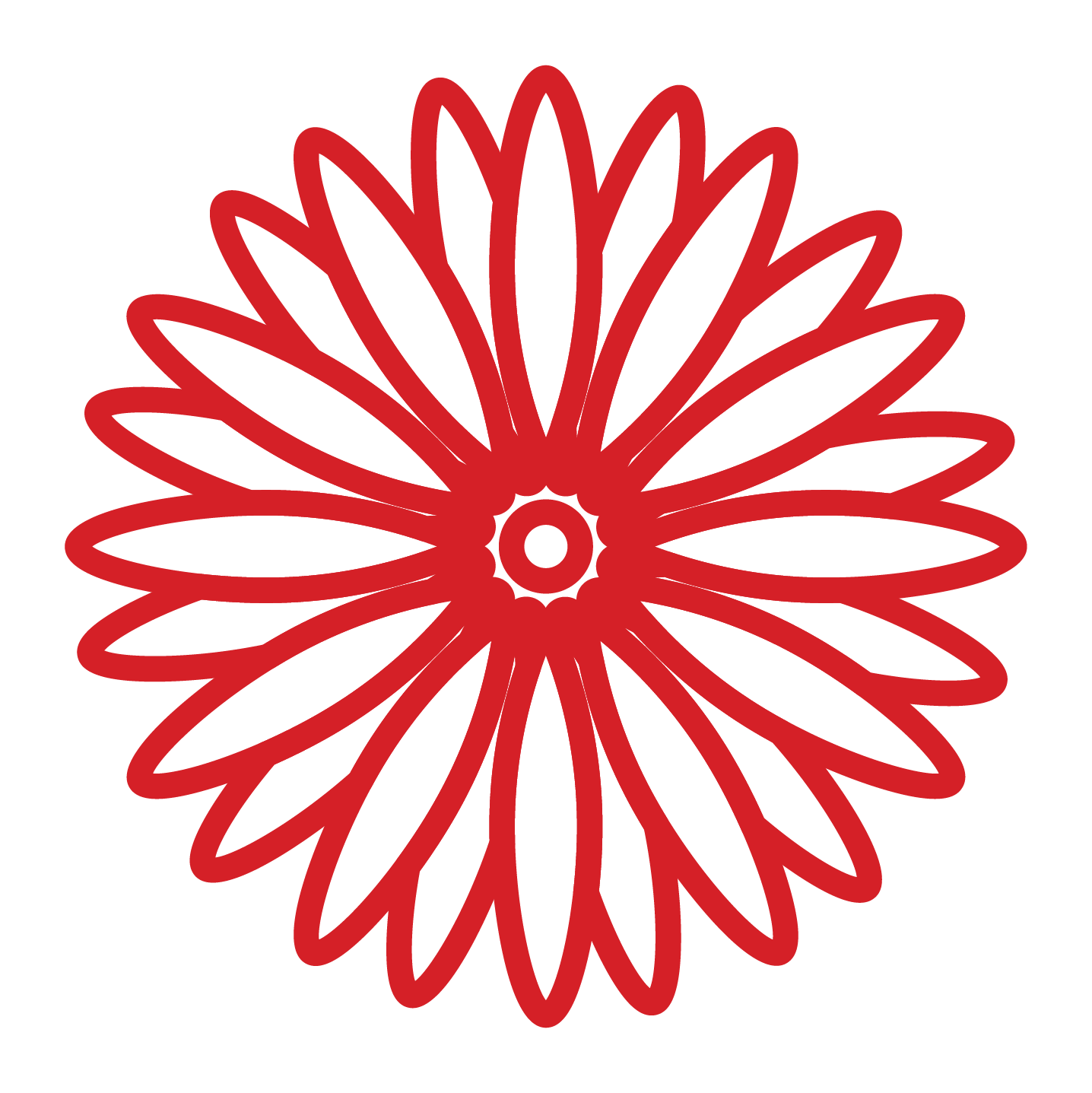 Red Garbera