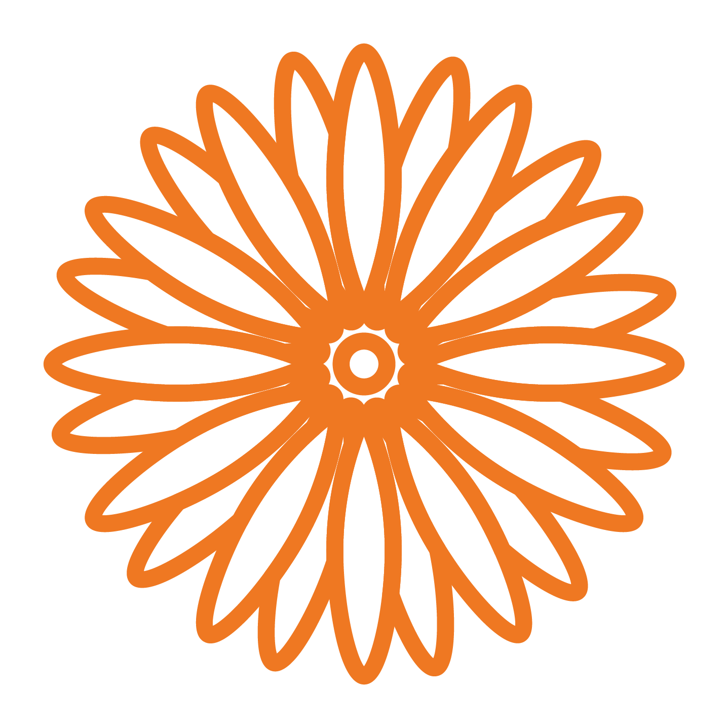 Orange Garbera