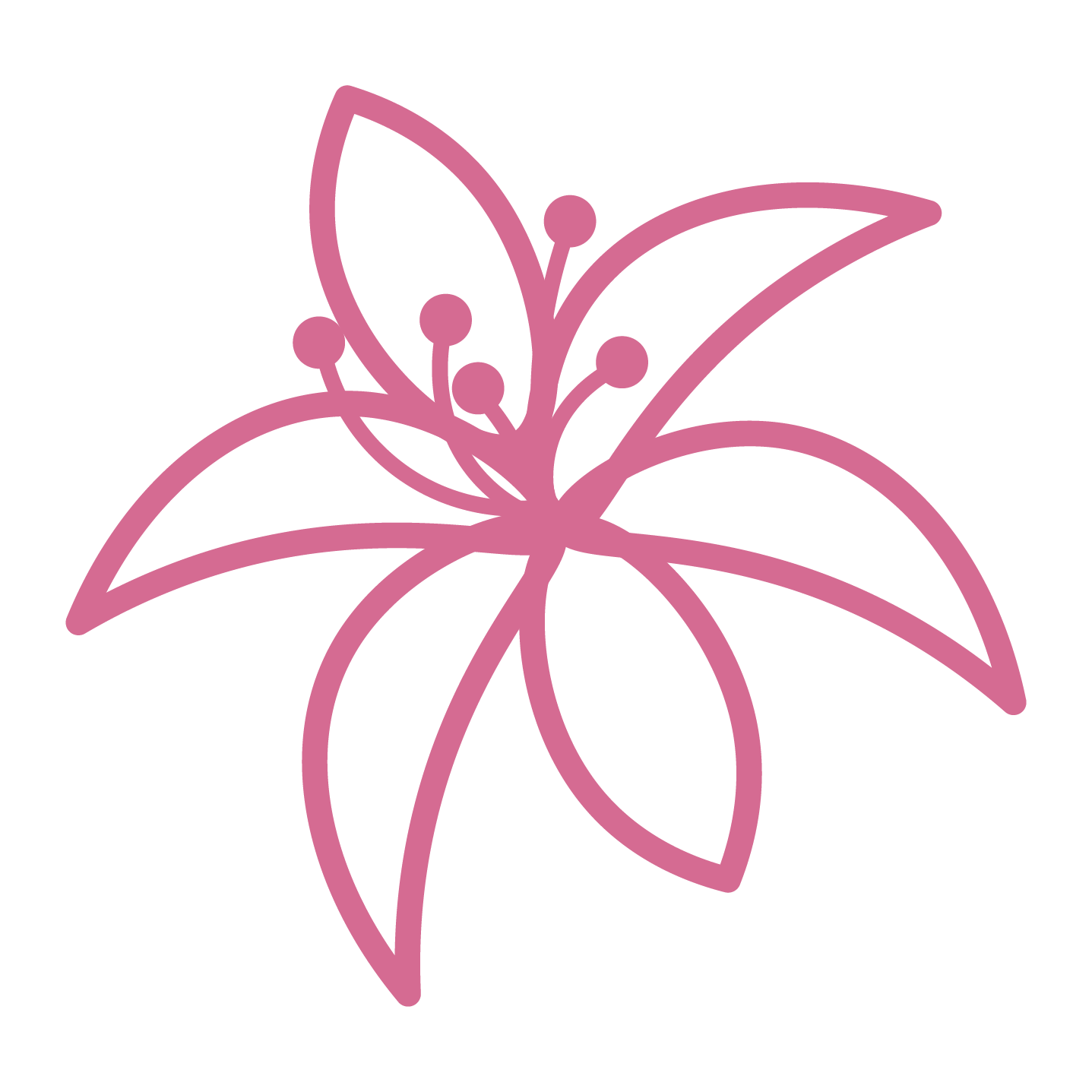 Pink Lily