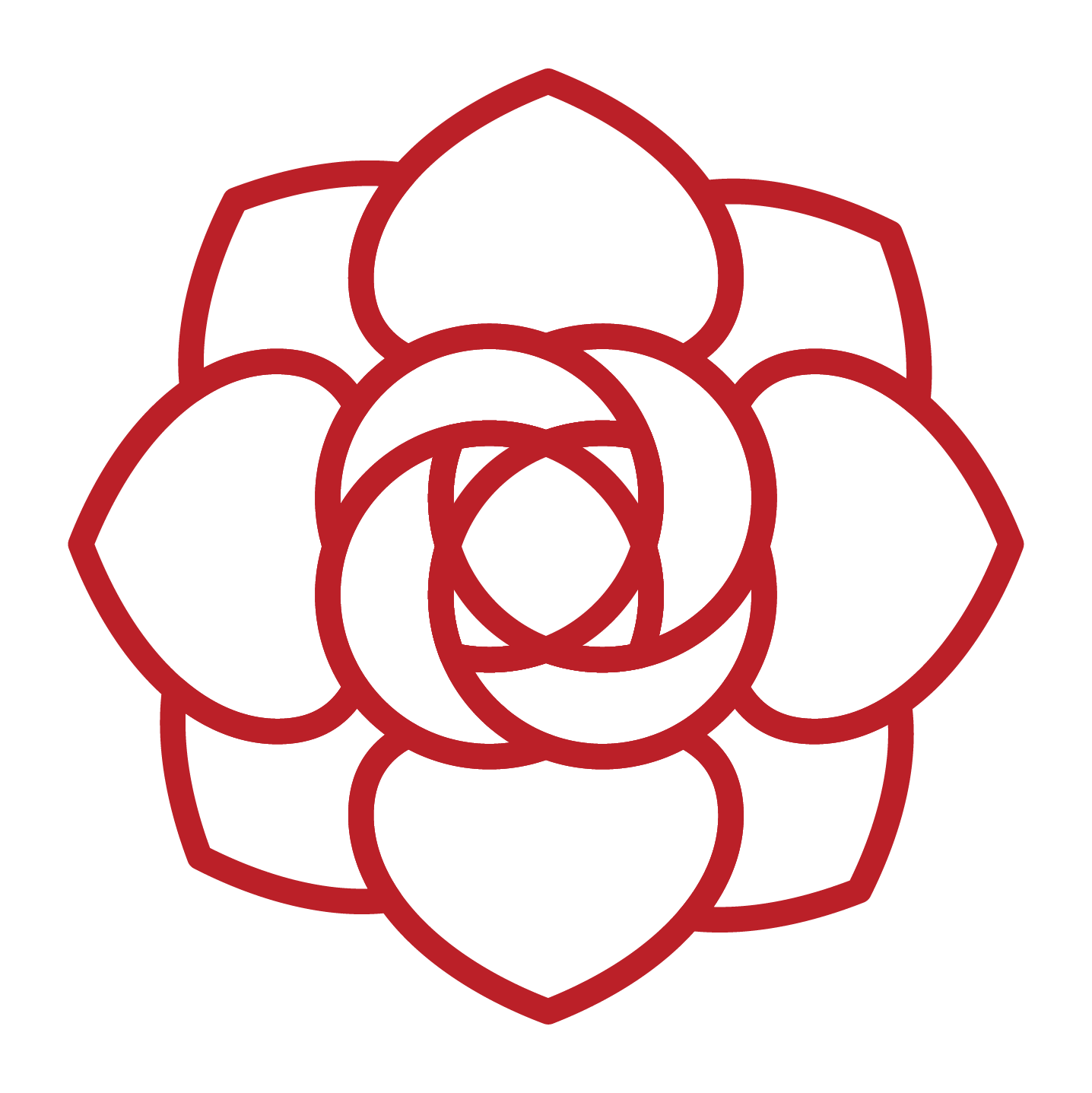 Red Rose