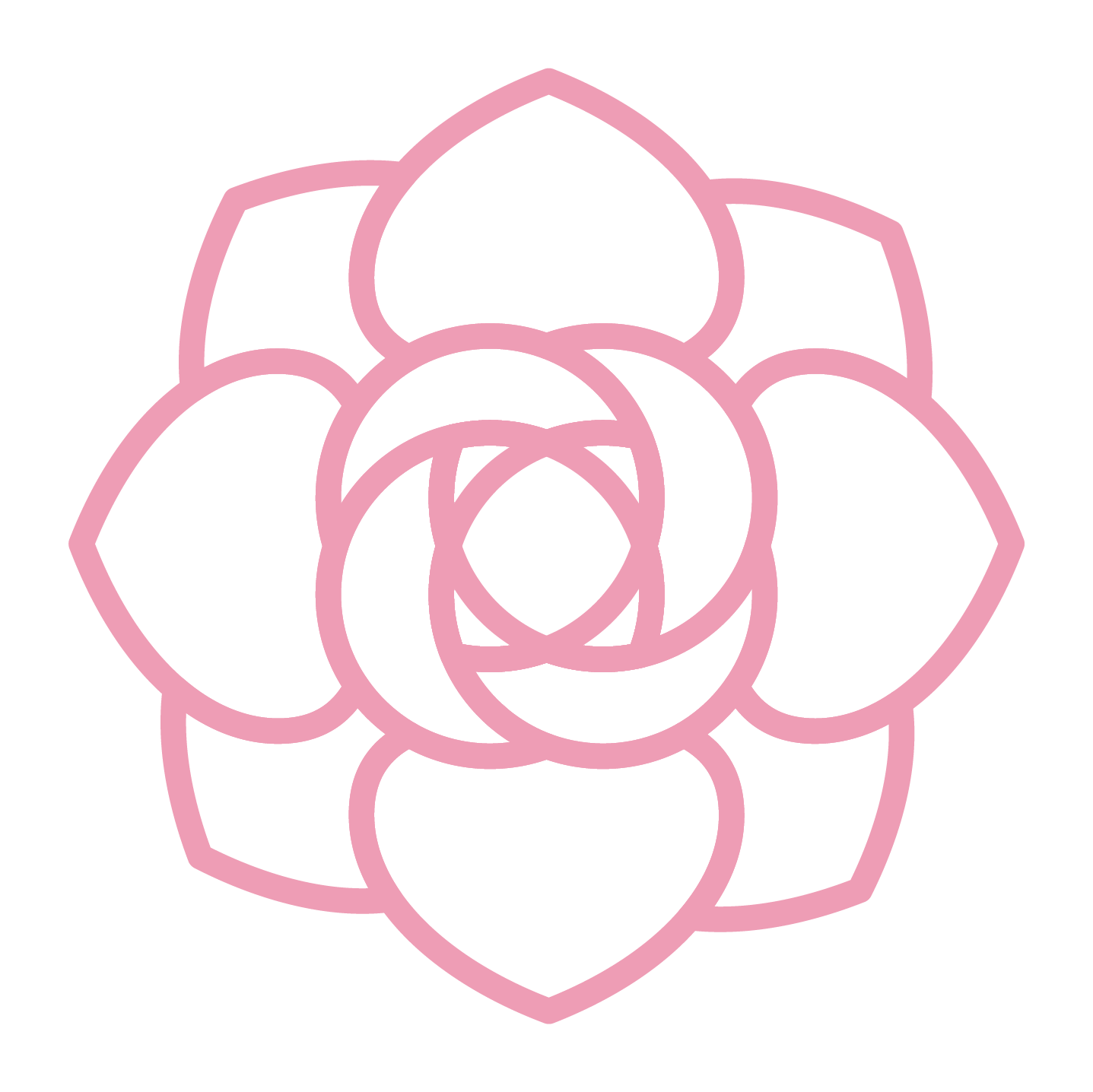 Pink Rose