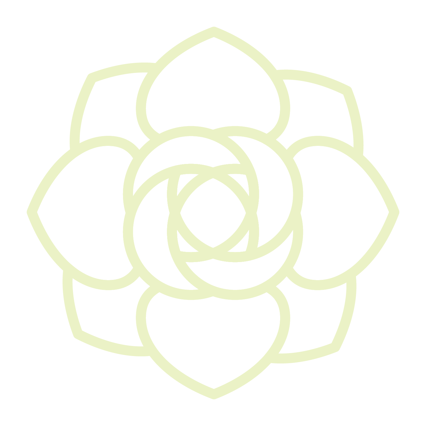White Rose